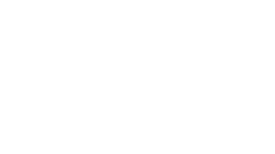 Logo - Visual Concepts / 2K - White